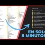 Organización de archivos en PC: Tutorial completo